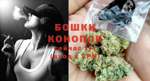 ECSTASY Богородицк